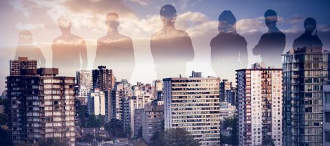 ניהול נכסים